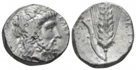 Lucania, Metapontum Nomos circa 330-320, AR 20mm., 7.92g. Laureate head of Zeus r. Rev. Ear of barley with leaf to l., upon which, crouching Silenus. ...