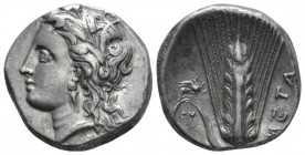 Lucania, Metapontum Nomos circa 330-290, AR 20mm., 7.79g. Wreathed head of Demeter l. Rev. Barley ear; in l. field, griffin r. Johnston class C. Histo...