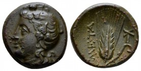 Lucania, Metapontum Bronze circa 300-250, Æ 16mm., 3.20g. Head of Dionysus l., wearing wreath of ivy leaves. Rev. Barley ear with leaf to r.; cross-to...