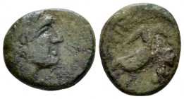 Lucania, Paestum Quadrans circa 218-201, Æ 16mm., 3.42g. Bearded head of Poseidon r.; behind, three pellets. Rev. Dolphin r.; above three pellets, bel...