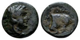 Lucania, Thurium Bronze circa 280-213, Æ 11.5mm., 1.21g. Head of Herakles r., wearing lion skin. Rev. Forepart of bull butting r. Historia Numorum Ita...