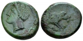 Sicily, Catana Bronze circa 405-402, Æ 20mm., 8.58g. Wreathe head l. Rev. Owl standing l. Calciati 2B. SNG ANS 1271 (these dies). Rare. Green patina a...
