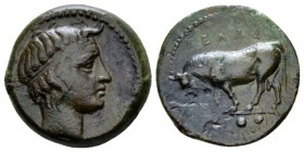Sicily, Gela Trias circa 420-405, Æ 18mm., 3.89g. Bull standing l.; in exergue, three pellets. Rev. Head of river god l., horned and wearing tainia. J...