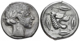 Sicily, Leontini Tetradrachm circa 440-430, AR 25mm., 17.31g. Laureate head of Apollo r. Rev. Lion's head r. with tongue protruding; around, four barl...