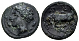 Sicily, Syracuse Bronze circa 317-289, Æ 15.5mm., 3.15g. Head of Arethusa l., wearing wreath of grain: in l. field, dolphin and barley ear r. Rev. Bul...