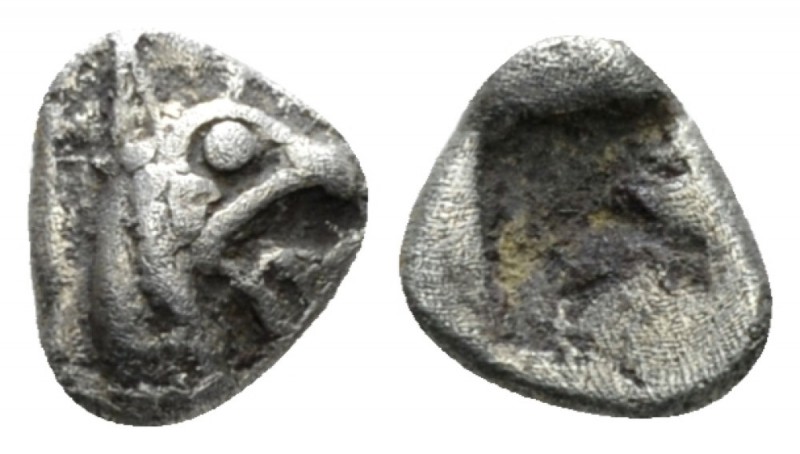 Ionia, Teos Tetartemorion circa 500-450, AR 7mm., 0.32g. Head of griffin r. Rev....