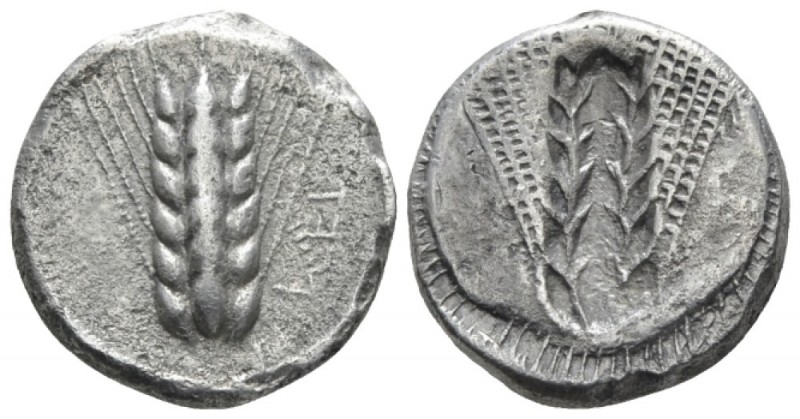 Lucania, Metapontum Nomos circa 4707-440, AR 18mm., 7.28g. Barley ear. Rev. Incu...