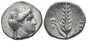 Lucania, Metapontum Nomos circa 340-330, AR 20mm., 7.80g. Head of Demeter r., wearing barley wreath and veil. Rev. Ear of barley with leaf to l.; abov...