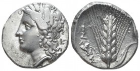 Lucania, Metapontum Nomos circa 290-280, AR 21mm., 7.79g. Head of Demeter l., wearing barley wreath and earrings; in r. field, Κ. Rev. Ear of barley w...