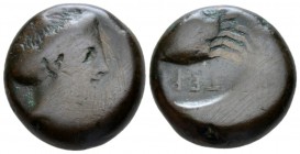 Bruttium, Terina Bronze circa 350-275, Æ 21.5mm., 16.63g. Female head r. Rev. TEPI Crab. SNG ANS 885 var. Historia Numorum Italy 2644.

Rare. Brown ...