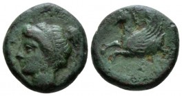 Sicily, Syracuse Hemilitron circa 344-317, Æ 16mm., 4.86g. Head of Persephone l., wearing hair-band, earring and necklace. Rev. Forepart of pegasus fl...
