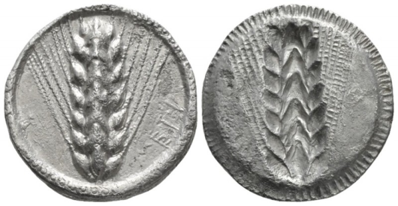 Lucania, Metapontum Nomos circa 500-480, AR 25mm., 7.01g. Barley-ear. Rev. Same ...