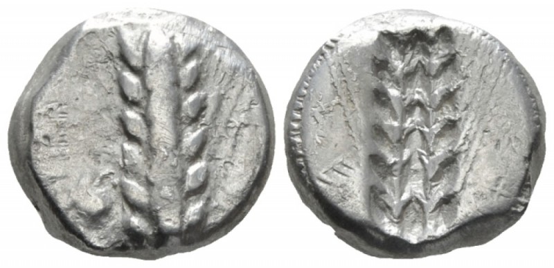 Lucania, Metapontum Nomos circa 470-440, AR 16mm., 7.76g. Barley ear; in l. fiel...