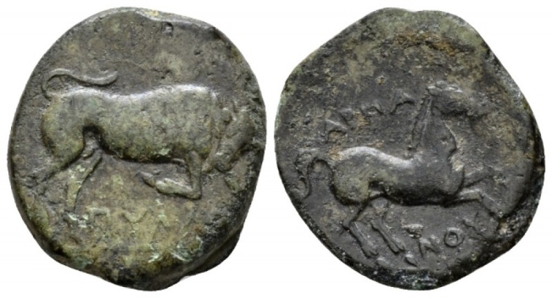 Apulia, Arpi Bronze circa 275-250, Æ 15mm., 5.43g. Bull charging r. Rev. Horse g...