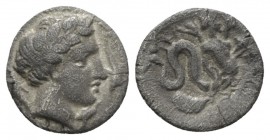 Campania, Allifae Obol circa 325-375, AR 10mm., 0.57g. Laureate head of Apollo r., around three dolphins. Rev. Scylla swimming r., holding sepia and f...