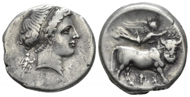 Campania, Neapolis Nomos circa 300-270, AR 20mm., 7.32g. Head of nymph r.; befor...