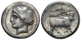 Campania, Neapolis Nomos circa 270-250, AR 20mm., 7.20g. Diademed head of nymph l.; in r. field, trident. Rev. Man-headed bull walking r.; above, Nike...