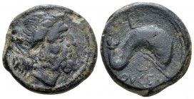 Apulia, Luceria Teruncius circa 211-200, Æ 21mm., 11.52g. Diademed head of Poseidon r.; three pellets behind. Rev. Dolphin r.; above, trident-head r. ...