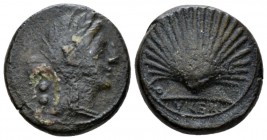 Apulia, Luceria Biunx circa 211-200, Æ 17mm., 6.20g. Veiled and wreathed head of Ceres r.; two pellets behind. Rev. Shell. SNG ANS 708. Historia Numor...