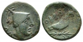 Apulia, Orra Bronze circa 250-225, Æ 18mm., 3.50g. Male head r., wearing conical helmet. Rev. Eagle standing r. on thunderbolt. SNG ANS 817. Historia ...