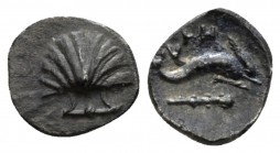 Calabria, Tarentum Hemilitron circa 325-280, AR 9mm., 0.35g. Shell. Rev. Two dolphins r.; below, club. Vlasto 1548. Historia Numorum Italy 1980,

Ni...