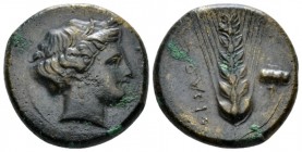 Lucania, Metapontum Obol circa 425-350, Æ 21mm., 7.34g. Wreathed head of Demeter r. Rev. Grain ear with leaf r.; poppy-head in r. field. Johnston Bron...