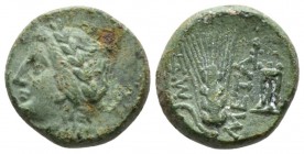 Lucania, Metapontum Bronze circa 300-250, Æ 14mm., 4.22g. Laureate head of Apollo l. Rev. Grain ear with leaf to l.; tripod to r. Johnston, Bronze 40....