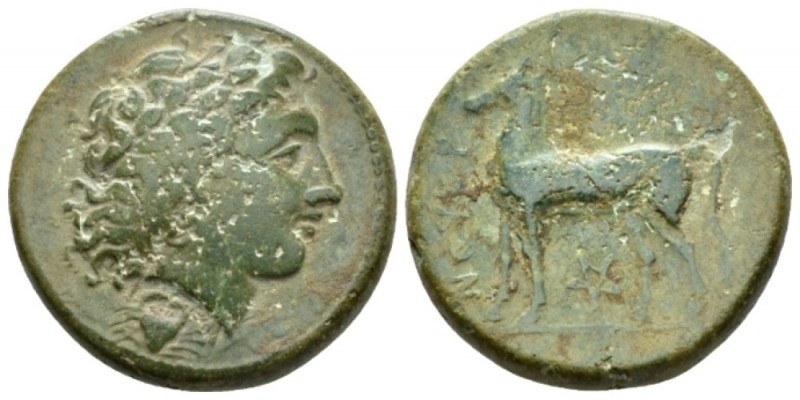 Bruttium, Nuceria Bronze circa 225, Æ 22mm., 10.14g. Laureate head of Apollo r.;...