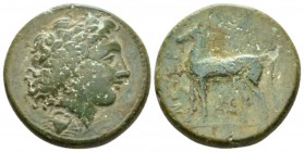 Bruttium, Nuceria Bronze circa 225, Æ 22mm., 10.14g. Laureate head of Apollo r.; below, crab. Rev. Horse standing l. SNG Copenhagen 904. Historia Numo...