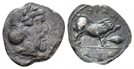 Sicily, Abacaenum Litra circa 430-420, Æ 12mm., 0.47g. Laureate and bearded male head r. Rev. Sow standing r.; in field r., acorn. de Luynes 837. SNG ...