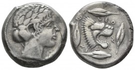 Sicily, Leontini Tetradrachm circa 440-430, AR 28mm., 17.04g. Laureate head of Apollo r. Rev. Head of lion r., with open mouth. Around four, grains. R...