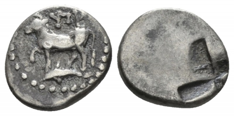 Thrace, Byzantium Diobol circa 411-386, AR 11mm., 1.24g. Cow advancing l. on dol...