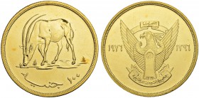 SUDAN
Republik. 100 Pounds 1976 (1396 AH). 7.99 g. KM 72. Fr. 2. Selten. Nur 872 Exemplare geprägt / Rare. Only 872 pieces struck. FDC / Uncirculated...