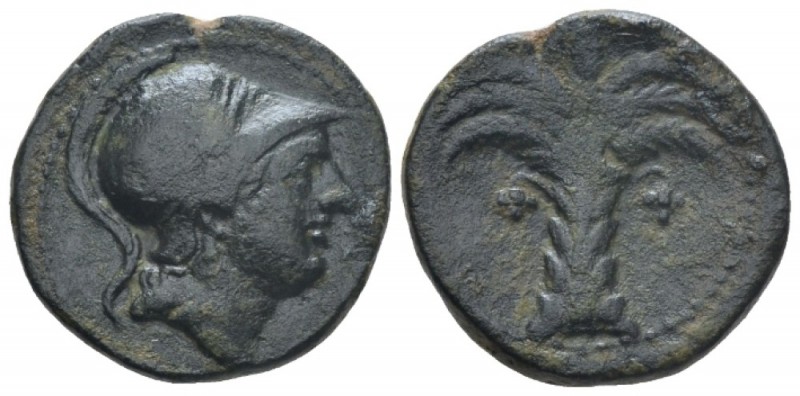 Hispania, Carthago Nova Bronze circa 237-209, Æ 20mm., 5.80g. Male head r., wear...