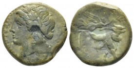 Samnium, Compulteria Bronze circa 265-240 BC, Æ 19mm., 4.15g. Laureate head of Apollo l. Rev. Man-headed bull standing r.; above, Nike flying r., plac...