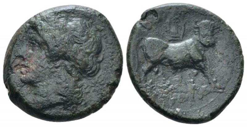 Samnium, Teanum Sidicinum Bronze circa 265-240, Æ 22mm., 6.25g. Laureate head of...