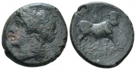 Samnium, Teanum Sidicinum Bronze circa 265-240, Æ 22mm., 6.25g. Laureate head of Apollo l. Rev. Man-faced bull advancing r.; above, lyre. SNG ANS 616....