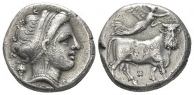 Campania, Neapolis Nomos circa 320-300, AR 19mm., 7.23g. Diademed head of nymph r., wearing earring and necklace; in l. field, bunch of grapes. Rev. M...