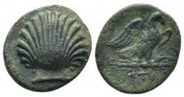 Apulia, Sturni Bronze circa 250-210, Æ 15mm., 2.14g. Cockle shell. Rev. Eagle standing r. on thunderbolt, with open wings. BMC 1. Weber 510. Historia ...