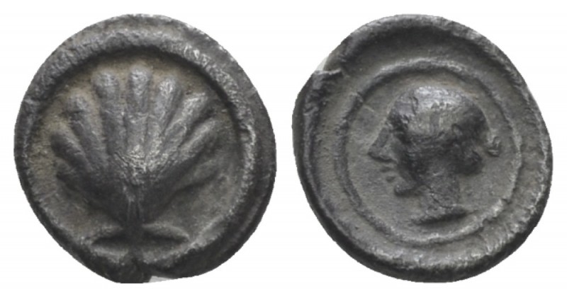 Calabria, Tarentum Litra circa 470-450, AR 9mm., 0.79g. Shell within linear circ...