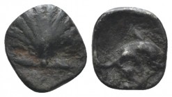 Calabria, Tarentum Litra circa 325-280,, AR 8mm., 0.64g. Shell. Rev. Dophin r. Historia Numorum Italy 979.

Old cabinet tone, Very Fine.

From a S...