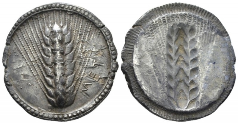 Lucania, Metapontum Nomos circa 540-510, AR 29mm., 7.92g. Nomos circa 540-510, A...