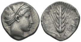Lucania, Metapontum Nomos circa 430-400, AR 22mm., 7.33g. Head of Demeter r., hair bound with fillet. Rev. Six-grained ear. Noe 370. Historia Numorum ...