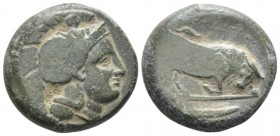 Lucania, Thurium Bronze circa 350-325, Æ 21mm., 10.89g. Head of Athena r., wearing crested Attic helmet decorated with Scylla holding trident. Rev. Bu...