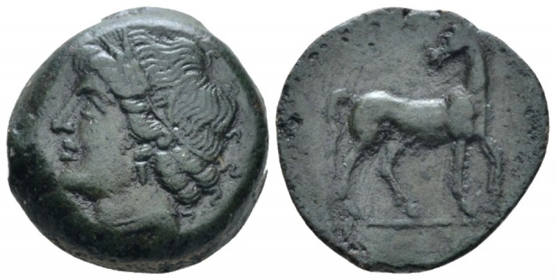 Bruttium, Carthaginian occupation Bronze circa 215-205, Æ 20mm., 7.89g. Diademed...