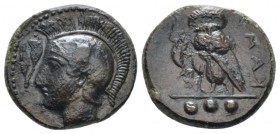 Sicily, Camarina Tetras circa 420-410, Æ 16mm., 2.99g. , Æ 15mm, 2.99g. Head of Athena l., wearing crested helmet; in l. field, olive spray. Rev. Owl ...