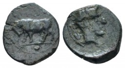 Sicily, Gela Uncia circa 420-405, Æ 12mm., 1.03g. Bull standing l. Rev. Head of river-god Gelas r.; grain-ear behind. Jenkins, Gela 500. SNG ANS 108....