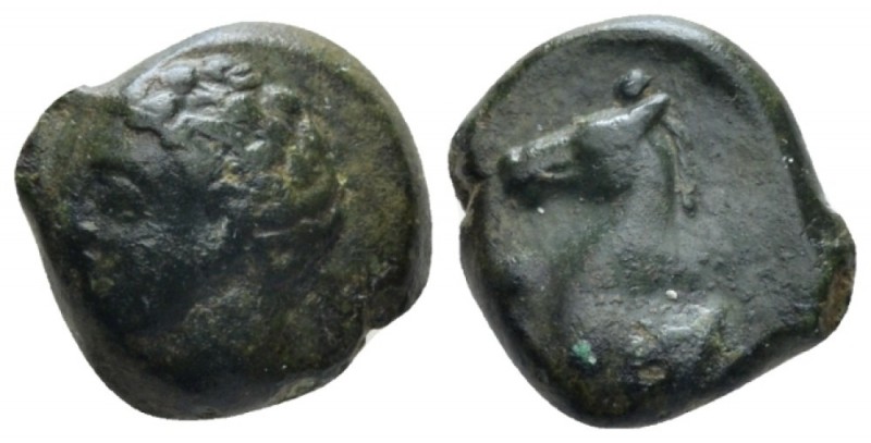 Sicily, Panormus as Ziz Bronze Circa 336-330, Æ 15mm., 3.46g. Male head l. Rev. ...