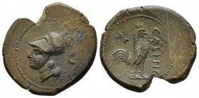 Campania, Cales Bronze circa 265-260, Æ 23mm., 6.52g. Head of Athena l., wearing Corinthian helmet. Rev. Cock standing r.; in l. field, star. Sambon 9...