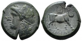 Campania, Cales Bronze circa 265-240, Æ 21mm., 7.39g. , Æ 21mm, 7.39g. Laureate head of Apollo l. Rev. Man-headed bull standing r., head facing; lyre ...
